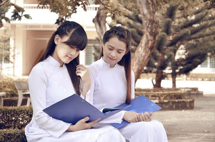 了解知识星球平台传奇服务端?,聚焦专业知识的乐园